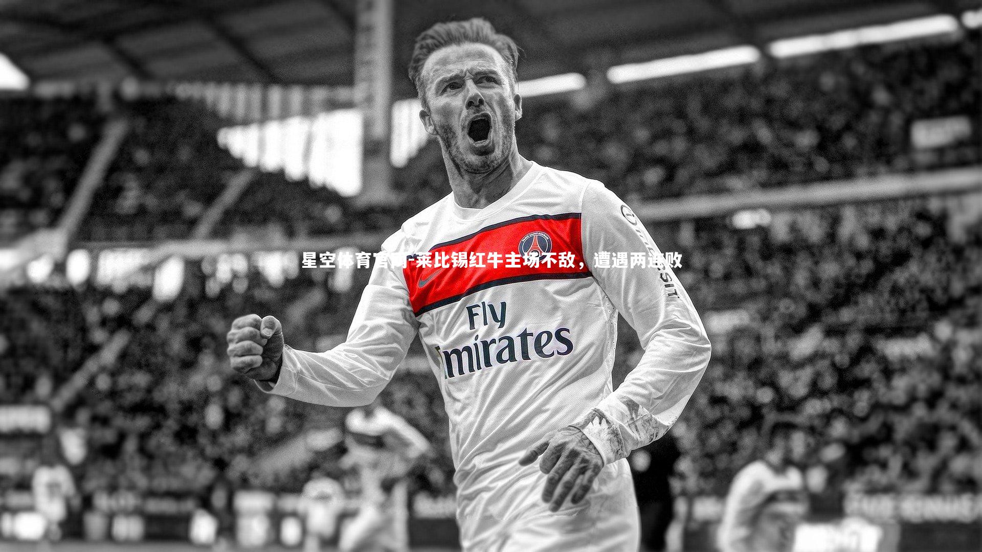 星空体育官网-莱比锡红牛主场不敌，遭遇两连败